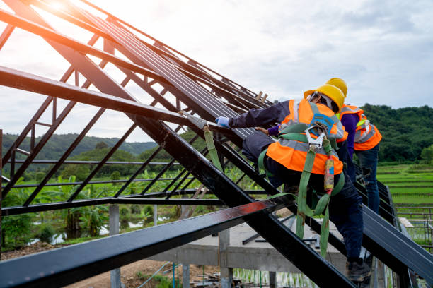 Best Roof Gutter Cleaning  in Alpine, TX