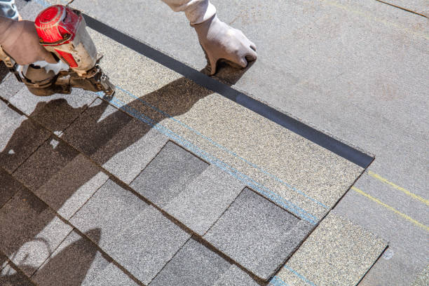Best Storm Damage Roof Repair  in Alpine, TX